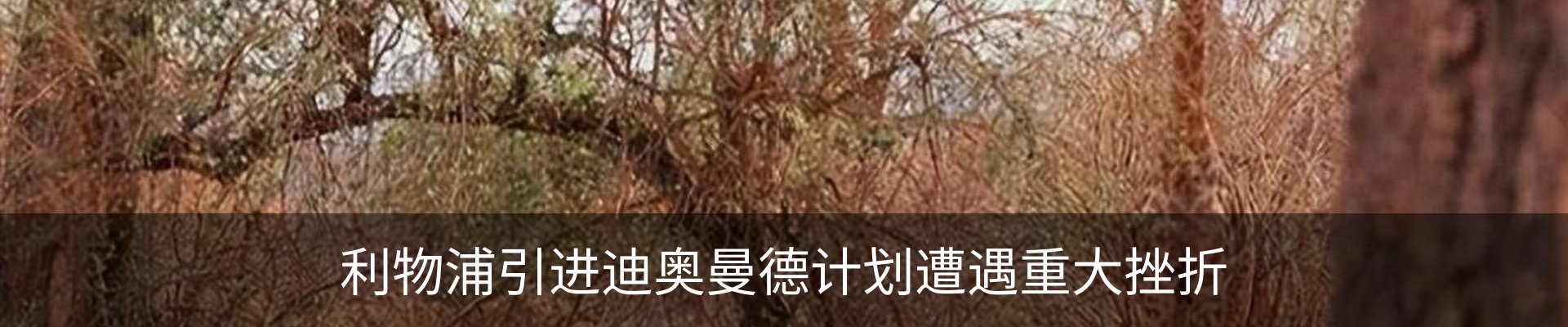 最新动态