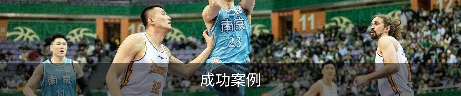成功案例