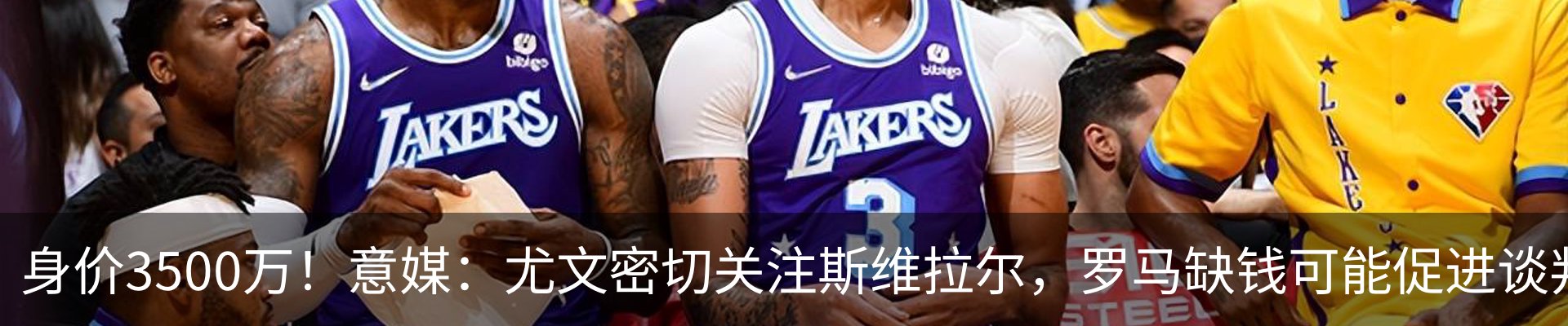 最新动态